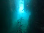 武藤潜水に投稿された画像（2024/5/4）