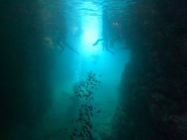 武藤潜水に投稿された画像（2024/5/4）