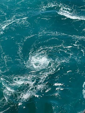 徳島県立 渦の道に投稿された画像（2024/5/4）