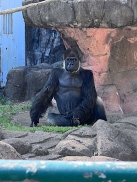 千葉市動物公園に投稿された画像（2024/5/4）