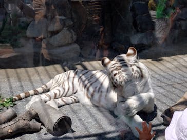 東武動物公園に投稿された画像（2024/5/4）