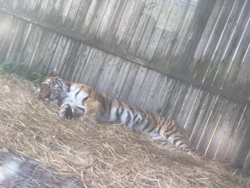 岩手サファリパークに投稿された画像（2024/5/4）