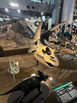 福井県立恐竜博物館に投稿された画像（2024/5/4）