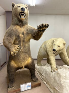 奥飛騨クマ牧場に投稿された画像（2024/5/4）