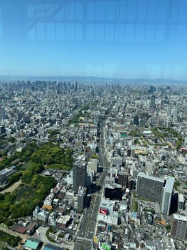 ハルカス300(展望台)に投稿された画像（2024/5/4）