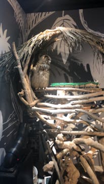 カワスイ 川崎⽔族館に投稿された画像（2024/5/4）