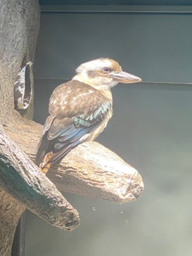 カワスイ 川崎⽔族館に投稿された画像（2024/5/4）