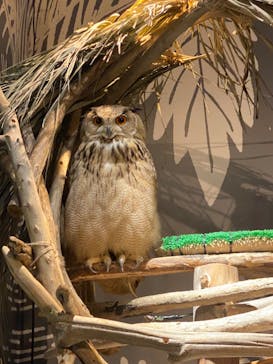 カワスイ 川崎⽔族館に投稿された画像（2024/5/4）