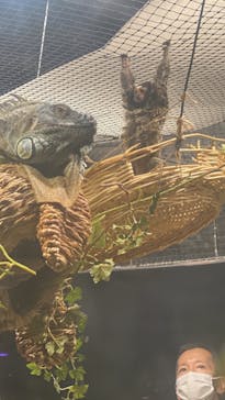 カワスイ 川崎⽔族館に投稿された画像（2024/5/4）