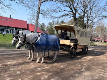 ノーザンホースパークに投稿された画像（2024/5/4）