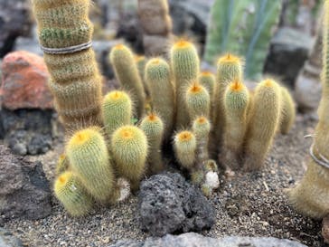 伊豆シャボテン動物公園に投稿された画像（2024/5/4）