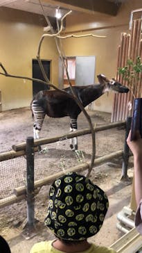 よこはま動物園ズーラシアに投稿された画像（2024/5/4）
