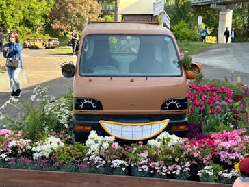 とっとり花回廊に投稿された画像（2024/5/4）