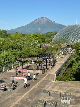 とっとり花回廊に投稿された画像（2024/5/4）