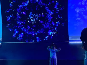 アクアワールド茨城県大洗水族館に投稿された画像（2024/5/4）