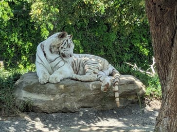 群馬サファリパークに投稿された画像（2024/5/4）