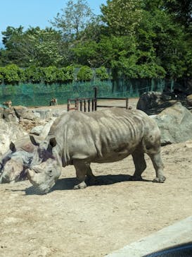 群馬サファリパークに投稿された画像（2024/5/4）