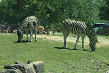 姫路セントラルパークに投稿された画像（2024/5/4）