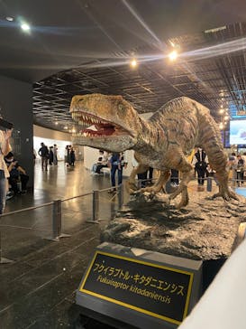 福井県立恐竜博物館に投稿された画像（2024/5/4）
