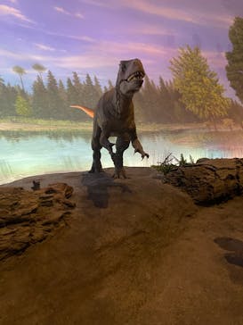 福井県立恐竜博物館に投稿された画像（2024/5/4）