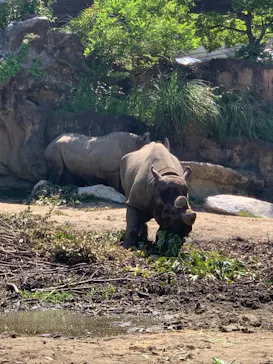 天王寺動物園に投稿された画像（2024/5/4）