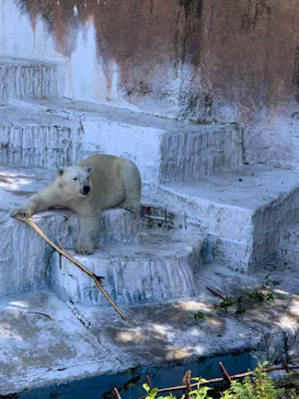 天王寺動物園に投稿された画像（2024/5/4）