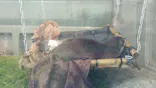 サンシャイン水族館に投稿された画像（2024/5/4）