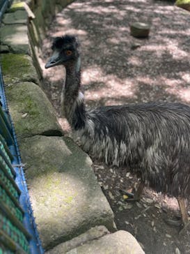 千葉市動物公園に投稿された画像（2024/5/4）