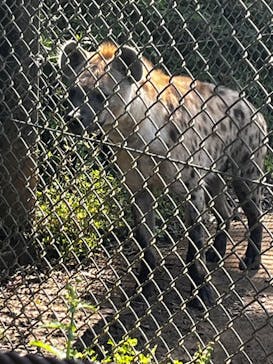 千葉市動物公園に投稿された画像（2024/5/4）