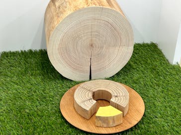 新潟県立自然科学館に投稿された画像（2024/5/4）