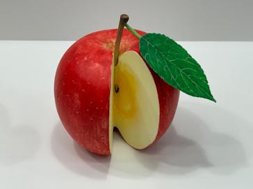 新潟県立自然科学館に投稿された画像（2024/5/4）