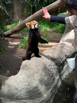 神戸どうぶつ王国に投稿された画像（2024/5/4）