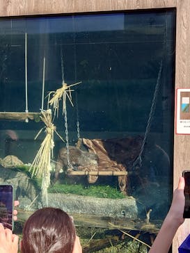 サンシャイン水族館に投稿された画像（2024/5/4）