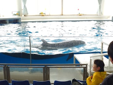 アクアワールド茨城県大洗水族館に投稿された画像（2024/5/4）