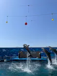仙台うみの杜水族館に投稿された画像（2024/5/4）