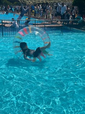 東京サマーランドに投稿された画像（2024/5/4）