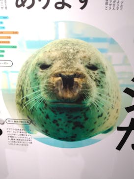 京都水族館に投稿された画像（2024/5/4）