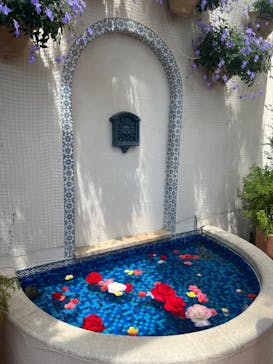 浜名湖花博2024に投稿された画像（2024/5/4）