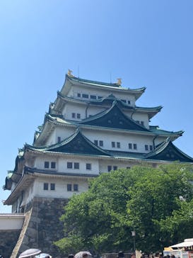 名古屋城に投稿された画像（2024/5/4）