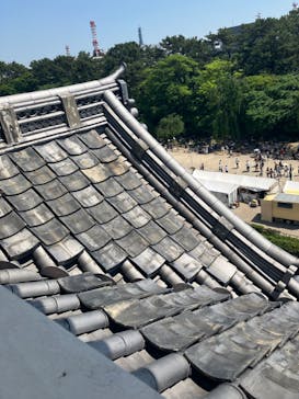 名古屋城に投稿された画像（2024/5/4）