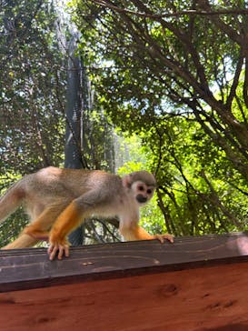 長崎バイオパークに投稿された画像（2024/5/4）