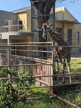 日立市かみね動物園に投稿された画像（2024/5/4）