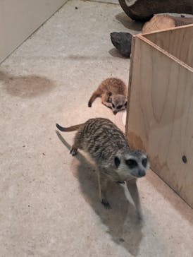 アニタッチアクアシティお台場に投稿された画像（2024/5/4）