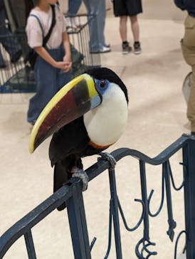 アニタッチアクアシティお台場に投稿された画像（2024/5/4）