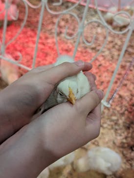 アニタッチアクアシティお台場に投稿された画像（2024/5/4）