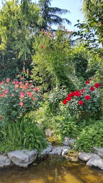 横浜イングリッシュガーデンに投稿された画像（2024/5/4）