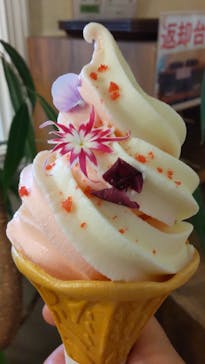 横浜イングリッシュガーデンに投稿された画像（2024/5/4）