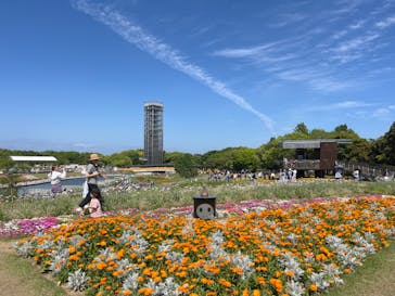 浜名湖花博2024に投稿された画像（2024/5/4）