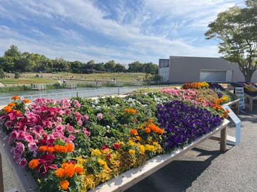 浜名湖花博2024に投稿された画像（2024/5/4）