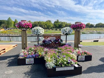 浜名湖花博2024に投稿された画像（2024/5/4）